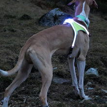 Cargar imagen en el visor de la galería, Vinil TEXTIL Reflectivo