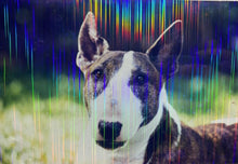 Cargar imagen en el visor de la galería, Film Laminado Adhesivo Holográfico Transparente