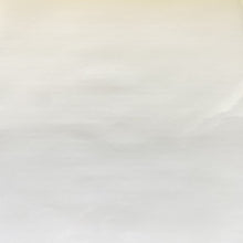 Cargar imagen en el visor de la galería, Blanco Brillante