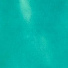 Cargar imagen en el visor de la galería, Vinil TEXTIL reactivo a temperatura