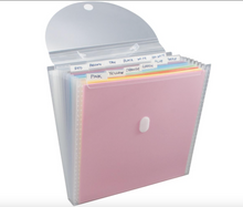 Cargar imagen en el visor de la galería, Organizador expandible para vinil