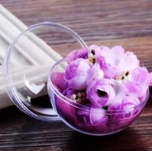 Cargar imagen en el visor de la galería, Esfera CIRCULAR de Acrilico Cristal