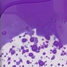 Cargar imagen en el visor de la galería, Combo de vinil adhesivo Reactivos a FRIO Blanco a Color